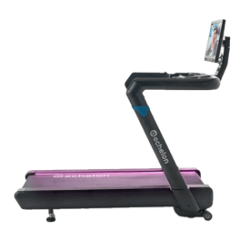 Echelon Stride-8s Treadmill