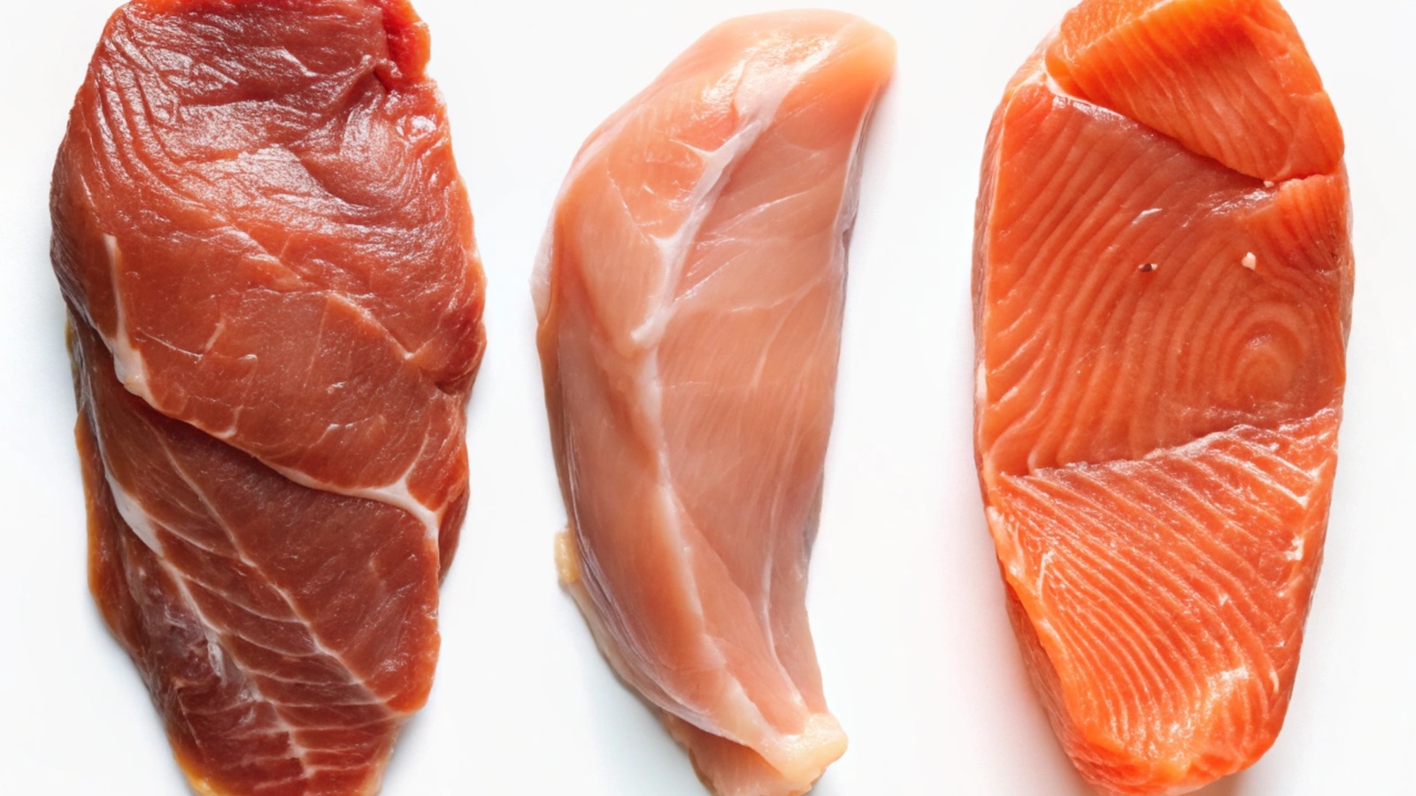 Excessive Protein Consumption Explained BarBend