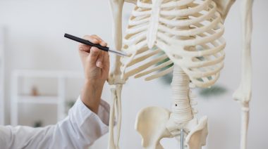 The Impact of Diet and Training on Your Bones