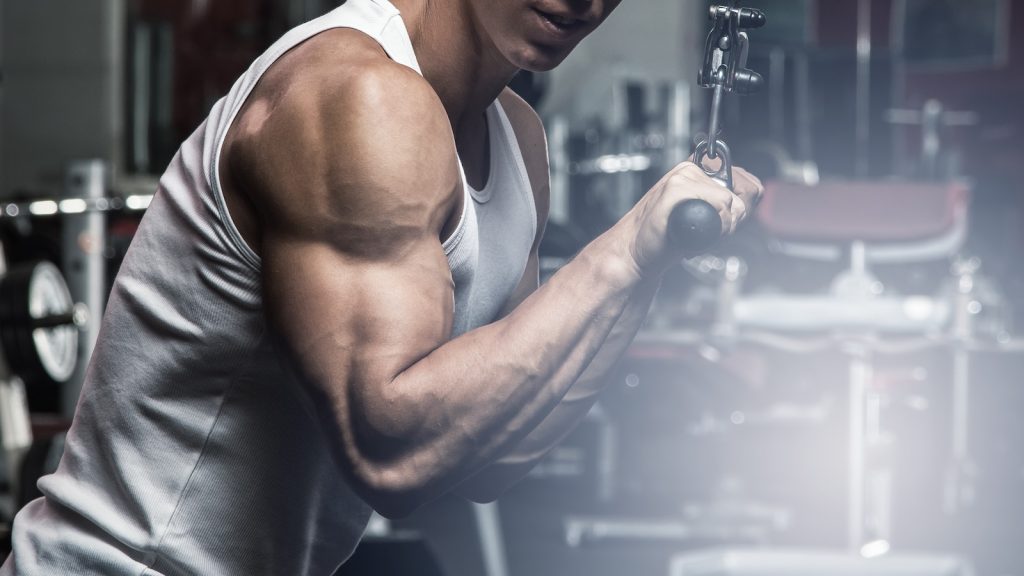 Experts and Science Agree These Are the Best Biceps and Triceps Exercises