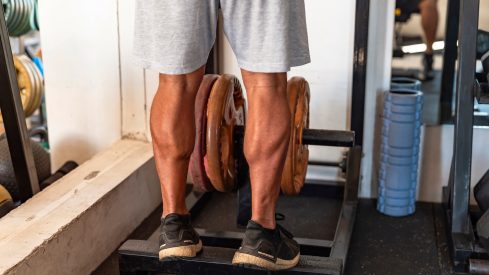 The Science of Calf Growth — Are They Different From Other Muscles?