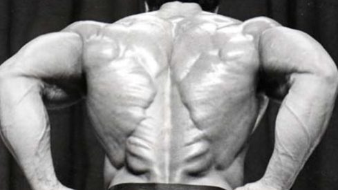 3 Exercises for Harder Spinal Erectors 