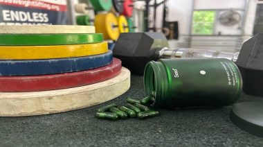 Seed Probiotic Review