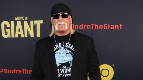 Hulk Hogan Passes Away at Age 71